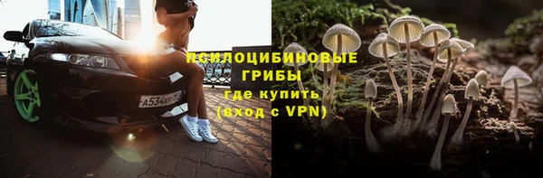 СК Каменка