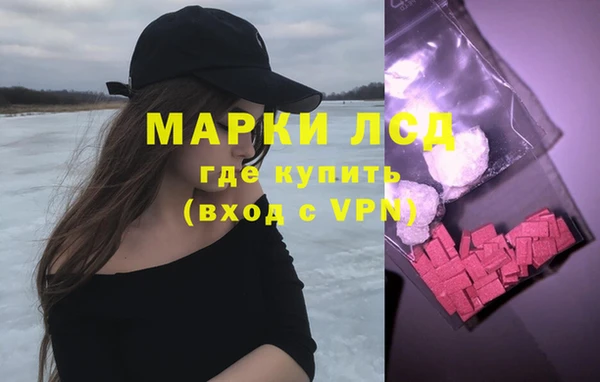 герыч Каменногорск