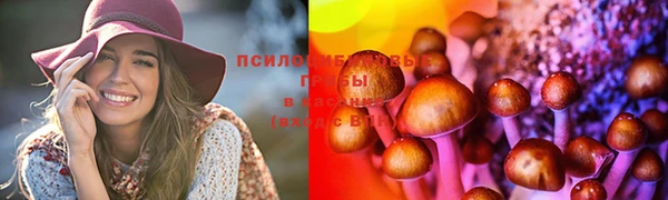 крисы Каменск-Шахтинский