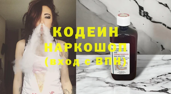 крисы Нижний Тагил